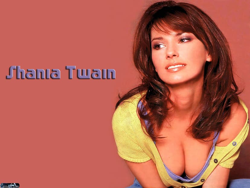 From This Moment On from Shania Twain
